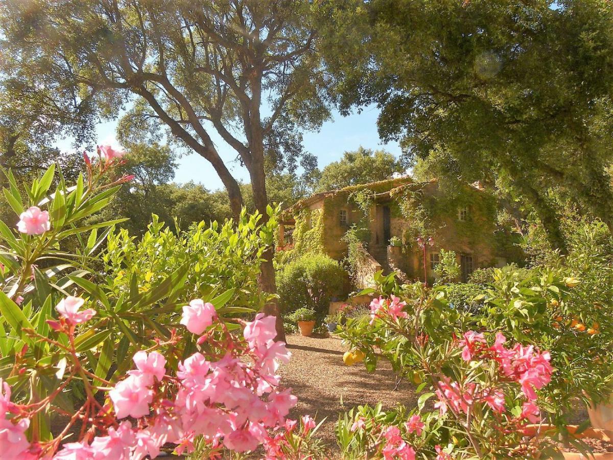 Le Bastidon Saint-Michel Bed & Breakfast Sainte-Maxime Exterior photo
